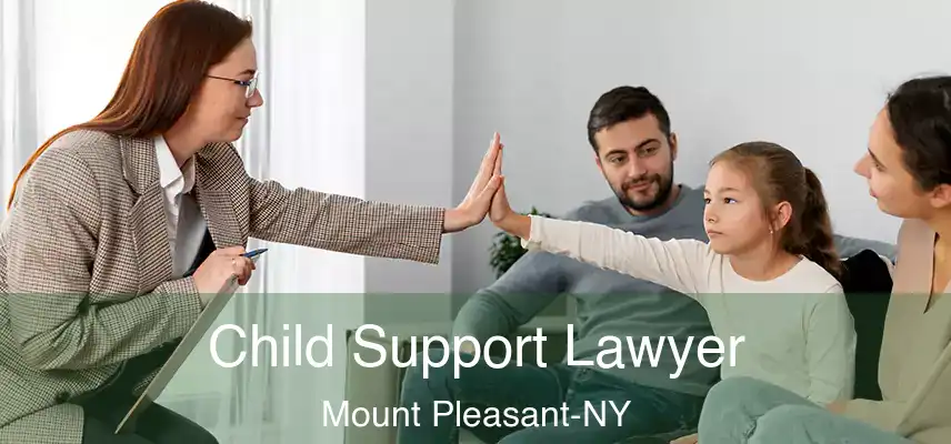  Child Support Lawyer Mount Pleasant-NY