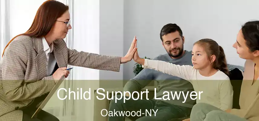  Child Support Lawyer Oakwood-NY