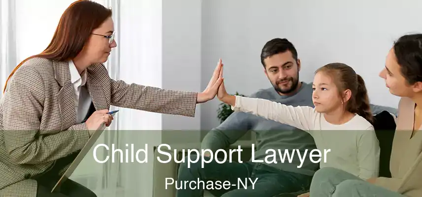 Child Support Lawyer Purchase-NY