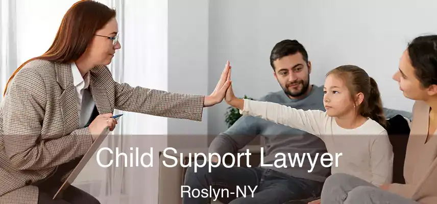 Child Support Lawyer Roslyn-NY