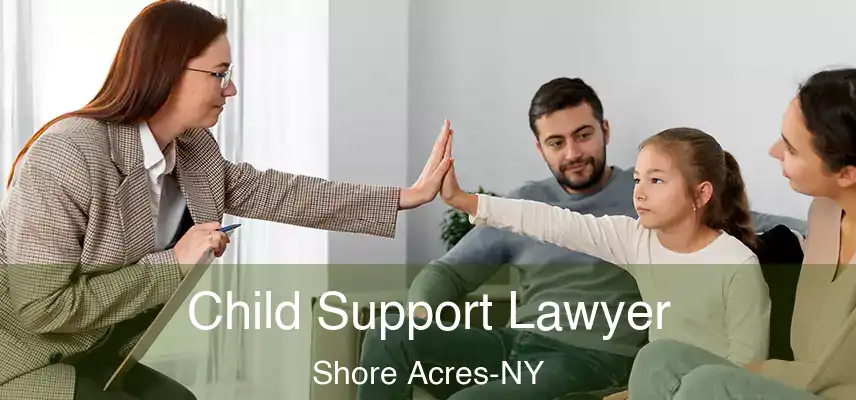  Child Support Lawyer Shore Acres-NY