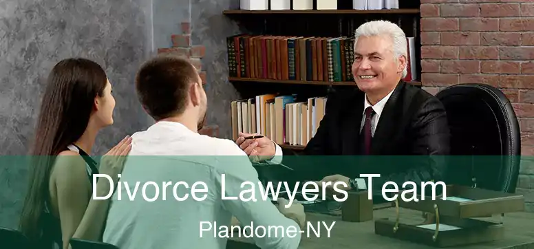  Divorce Lawyers Team Plandome-NY