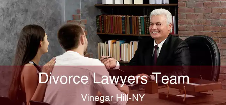  Divorce Lawyers Team Vinegar Hill-NY