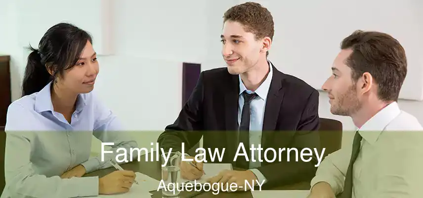  Family Law Attorney Aquebogue-NY