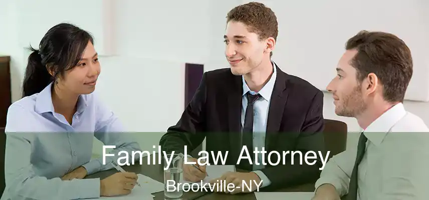  Family Law Attorney Brookville-NY