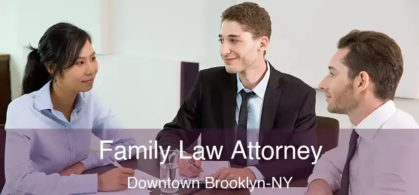  Family Law Attorney Downtown Brooklyn-NY