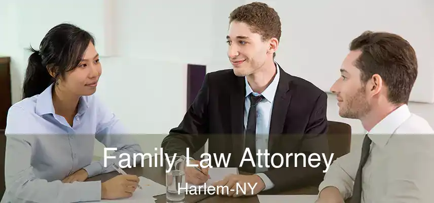  Family Law Attorney Harlem-NY