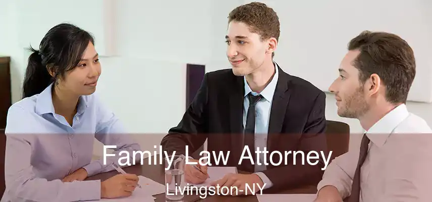  Family Law Attorney Livingston-NY
