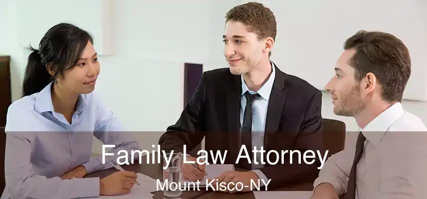  Family Law Attorney Mount Kisco-NY