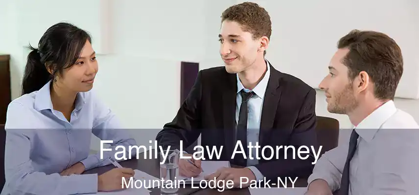  Family Law Attorney Mountain Lodge Park-NY