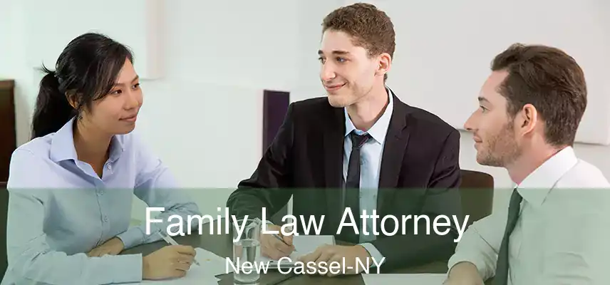 Family Law Attorney New Cassel-NY