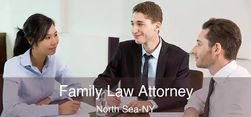  Family Law Attorney North Sea-NY