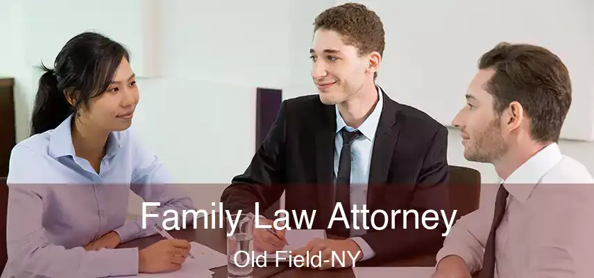  Family Law Attorney Old Field-NY