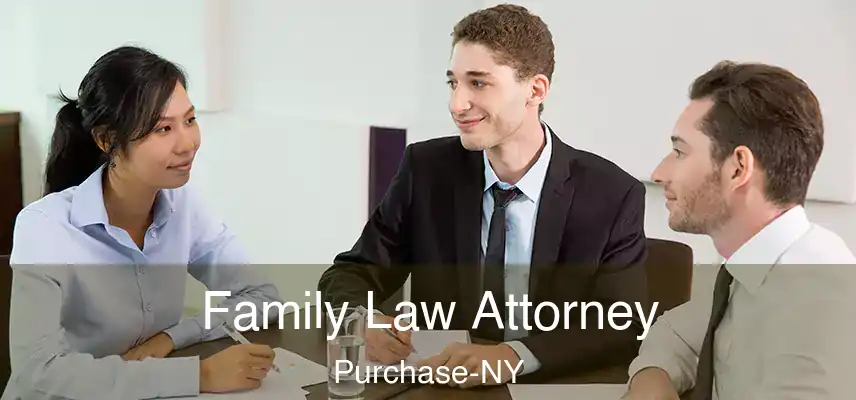  Family Law Attorney Purchase-NY
