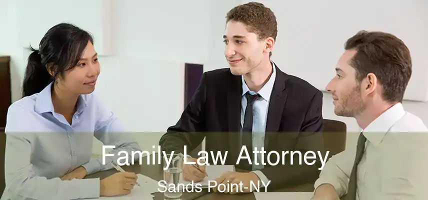  Family Law Attorney Sands Point-NY