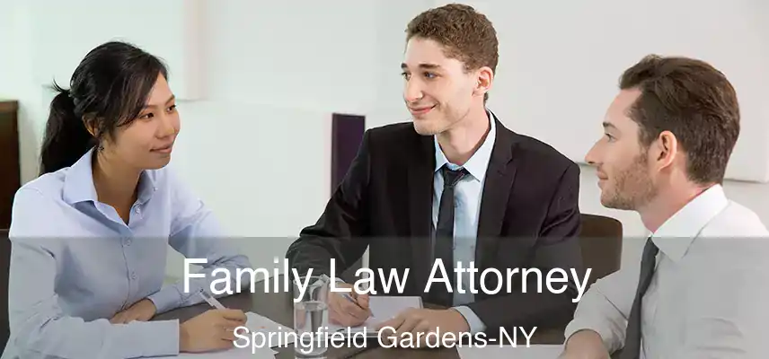  Family Law Attorney Springfield Gardens-NY