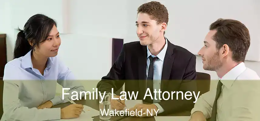  Family Law Attorney Wakefield-NY