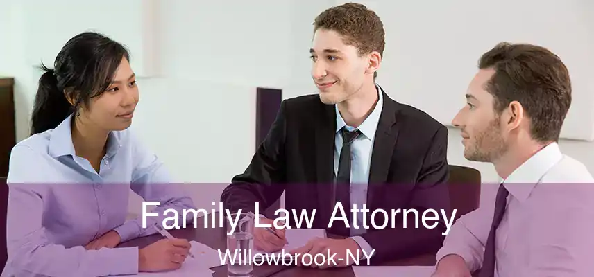  Family Law Attorney Willowbrook-NY
