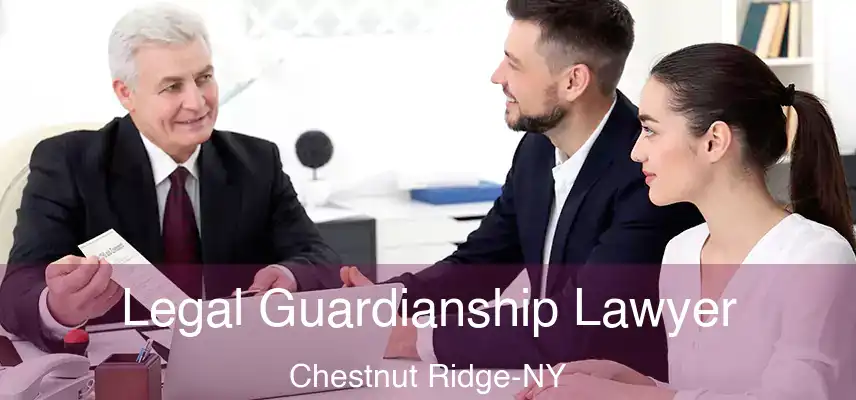  Legal Guardianship Lawyer Chestnut Ridge-NY